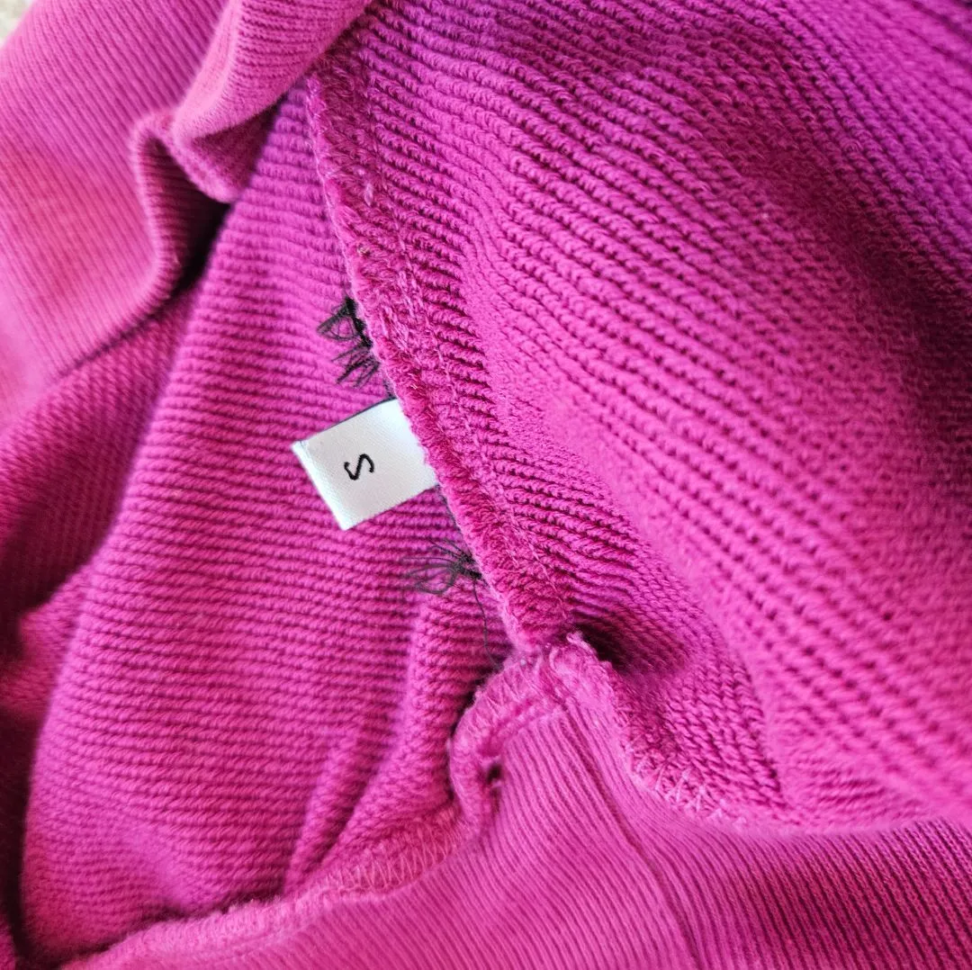 Balenciaga Pink Hoodie