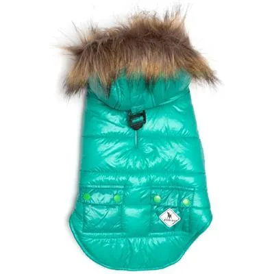 Neon Dog Jacket with Hood - The Worthy Dog Aqua Telluride Puffer Hoodie