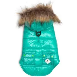 Neon Dog Jacket with Hood - The Worthy Dog Aqua Telluride Puffer Hoodie