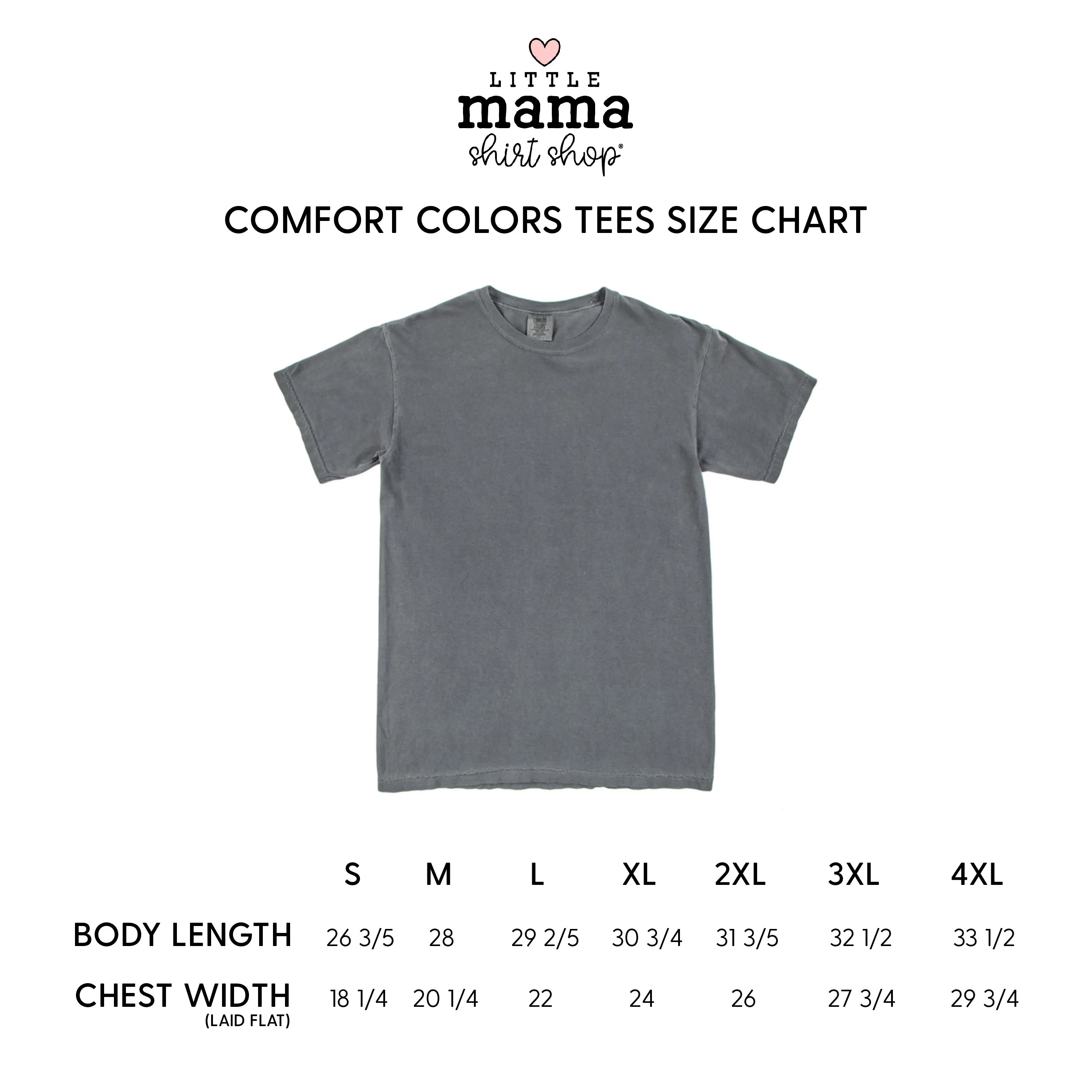 One More Chapter - SHORT SLEEVE COMFORT COLORS TEE